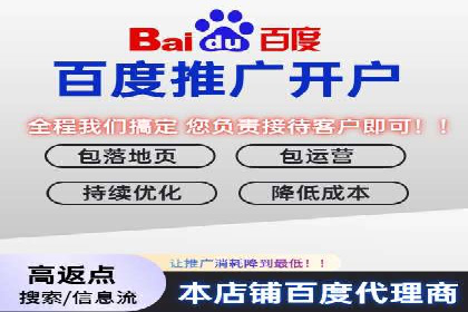 SEM竞价推广案例：低成本高效益的秘诀揭秘